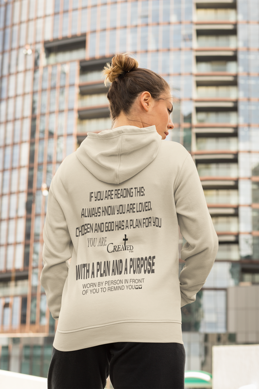 Christian Hoodie, Cute Christian Hoodie,  Pullover Hoodie, Created for a purpose reminder for person in the back.